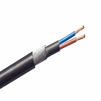 Zexum 2.5mm 2 Core 31A Brown Blue 6942X Steel Wire Armoured SWA Outdoor Mains Power Cable