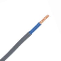 Zexum Grey 2.5mm 24A Blue Meter Tails 6181Y Round PVC/PVC Harmonised Cable